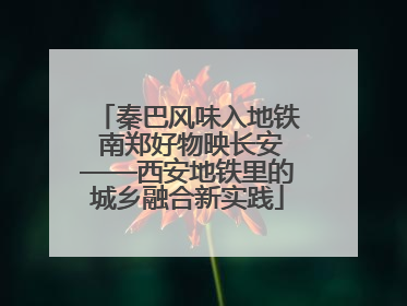 秦巴风味入地铁 南郑好物映长安——西安地铁里的城乡融合新实践