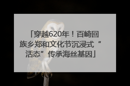 穿越620年！百崎回族乡郑和文化节沉浸式“活态”传承海丝基因