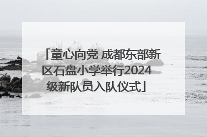 童心向党 成都东部新区石盘小学举行2024级新队员入队仪式