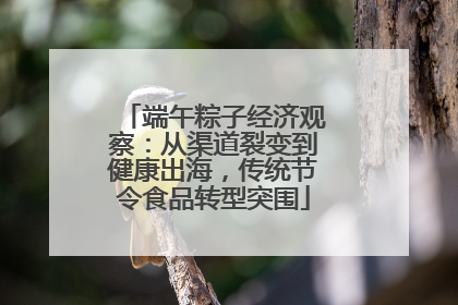 端午粽子经济观察：从渠道裂变到健康出海，传统节令食品转型突围
