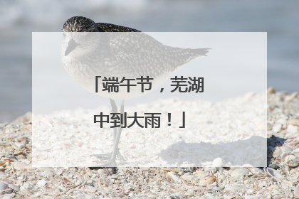 端午节，芜湖中到大雨！