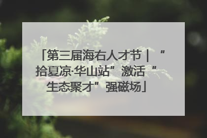 第三届海右人才节｜“拾夏凉·华山站”激活“生态聚才”强磁场