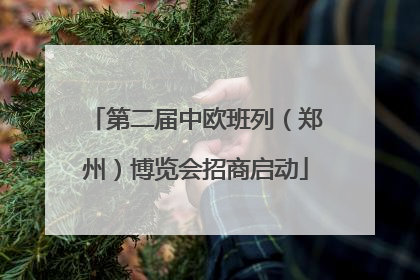 第二届中欧班列（郑州）博览会招商启动