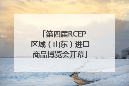 第四届RCEP区域（山东）进口商品博览会开幕