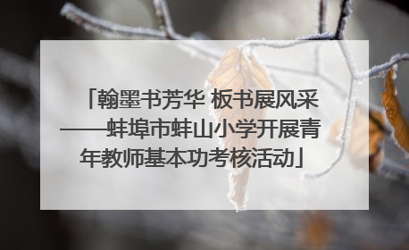 翰墨书芳华 板书展风采——蚌埠市蚌山小学开展青年教师基本功考核活动