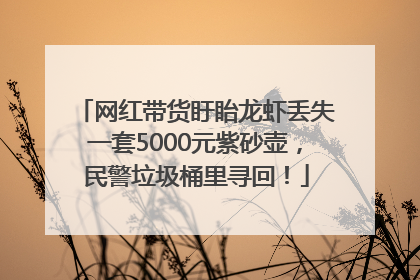网红带货盱眙龙虾丢失一套5000元紫砂壶，民警垃圾桶里寻回！