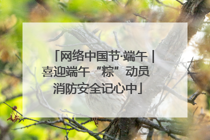 网络中国节·端午｜喜迎端午“粽”动员 消防安全记心中