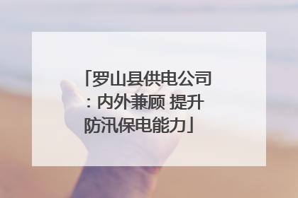 罗山县供电公司：内外兼顾 提升防汛保电能力