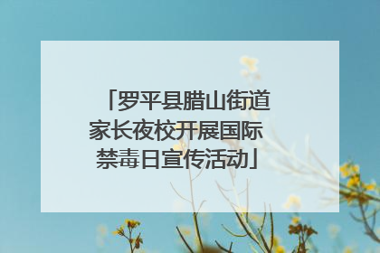 罗平县腊山街道家长夜校开展国际禁毒日宣传活动