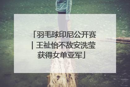 羽毛球印尼公开赛｜王祉怡不敌安洗莹 获得女单亚军