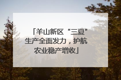 羊山新区“三夏”生产全面发力，护航农业稳产增收
