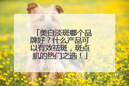 美白淡斑哪个品牌好？什么产品可以有效祛斑，斑点肌的热门之选！
