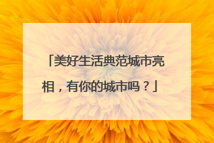 美好生活典范城市亮相，有你的城市吗？