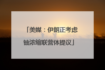 美媒：伊朗正考虑铀浓缩联营体提议