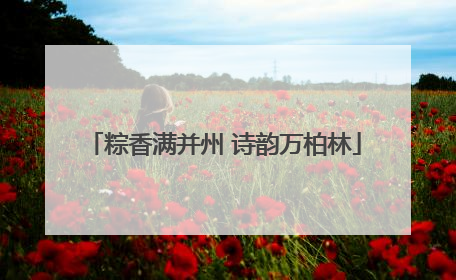 粽香满并州 诗韵万柏林