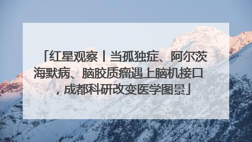 红星观察丨当孤独症、阿尔茨海默病、脑胶质瘤遇上脑机接口，成都科研改变医学图景