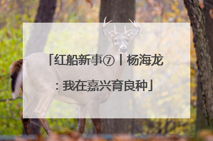 红船新事⑦丨杨海龙：我在嘉兴育良种