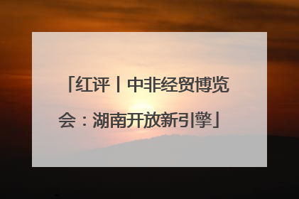 红评丨中非经贸博览会：湖南开放新引擎