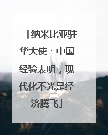 纳米比亚驻华大使：中国经验表明，现代化不光是经济腾飞