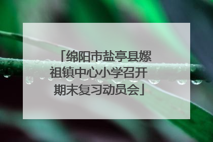 绵阳市盐亭县嫘祖镇中心小学召开期末复习动员会