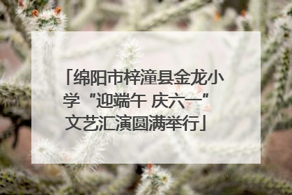 绵阳市梓潼县金龙小学“迎端午 庆六一”文艺汇演圆满举行