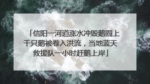 信阳一河道涨水冲毁鹅圈上千只鹅被卷入洪流，当地蓝天救援队一小时赶鹅上岸