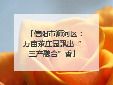 信阳市浉河区：万亩茶庄园飘出“三产融合”香