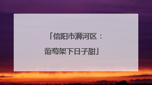 信阳市浉河区：葡萄架下日子甜