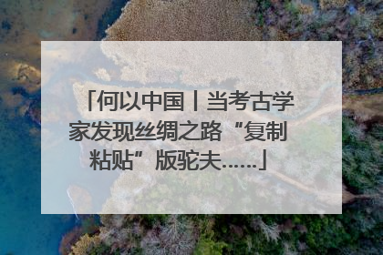 何以中国丨当考古学家发现丝绸之路“复制粘贴”版驼夫……