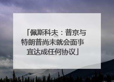 佩斯科夫：普京与特朗普尚未就会面事宜达成任何协议