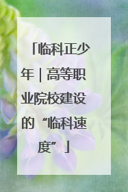 临科正少年｜高等职业院校建设的“临科速度”