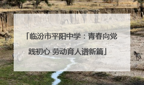 临汾市平阳中学：青春向党践初心 劳动育人谱新篇