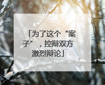为了这个“案子”，控辩双方激烈辩论