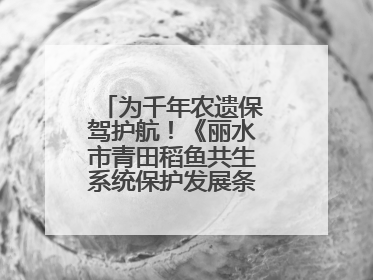 为千年农遗保驾护航！《丽水市青田稻鱼共生系统保护发展条例》正式施行