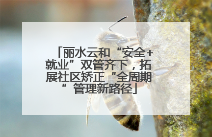 丽水云和“安全+就业”双管齐下，拓展社区矫正“全周期”管理新路径