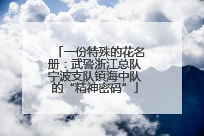 一份特殊的花名册：武警浙江总队宁波支队镇海中队的“精神密码”
