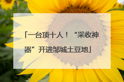 一台顶十人！“采收神器”开进邹城土豆地