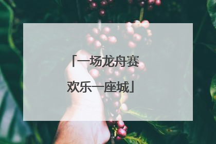 一场龙舟赛 欢乐一座城