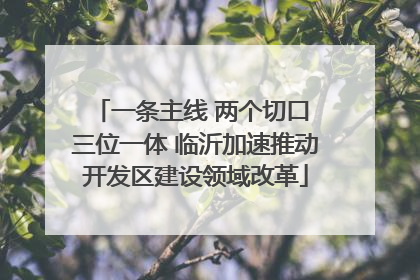 一条主线 两个切口 三位一体 临沂加速推动开发区建设领域改革