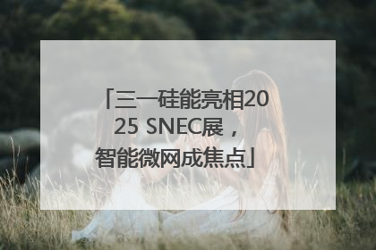 三一硅能亮相2025 SNEC展，智能微网成焦点