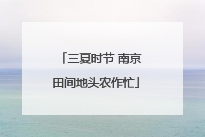 三夏时节 南京田间地头农作忙