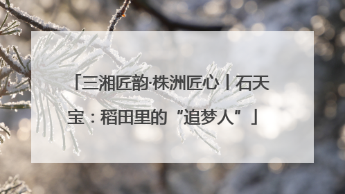 三湘匠韵·株洲匠心丨石天宝：稻田里的“追梦人”