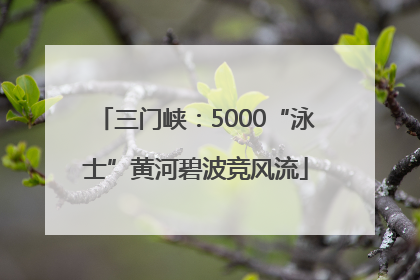 三门峡：5000“泳士”黄河碧波竞风流