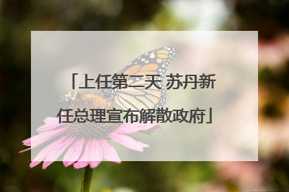 上任第二天 苏丹新任总理宣布解散政府