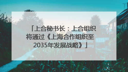 上合秘书长：上合组织将通过《上海合作组织至2035年发展战略》