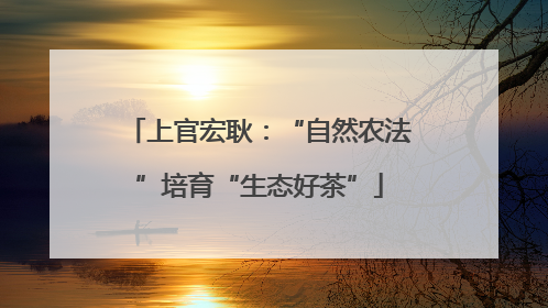 上官宏耿：“自然农法”培育“生态好茶”