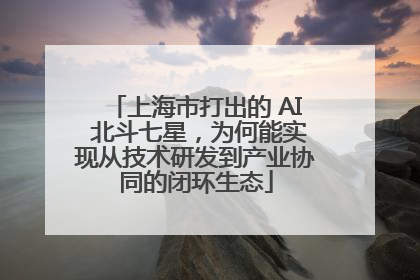 上海市打出的 AI 北斗七星，为何能实现从技术研发到产业协同的闭环生态