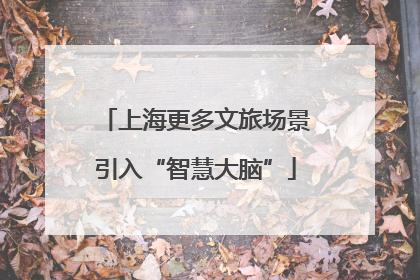 上海更多文旅场景引入“智慧大脑”