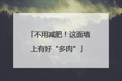 不用减肥！这面墙上有好“多肉”