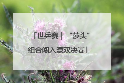 世乒赛｜“莎头”组合闯入混双决赛